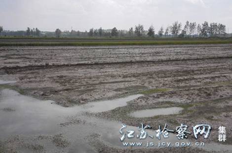 04-对受损农田采取中和排灌的方式，多次进行土壤改良.jpg