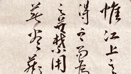 96976f1d-5027-4ea1-b578-5438e5956def.png